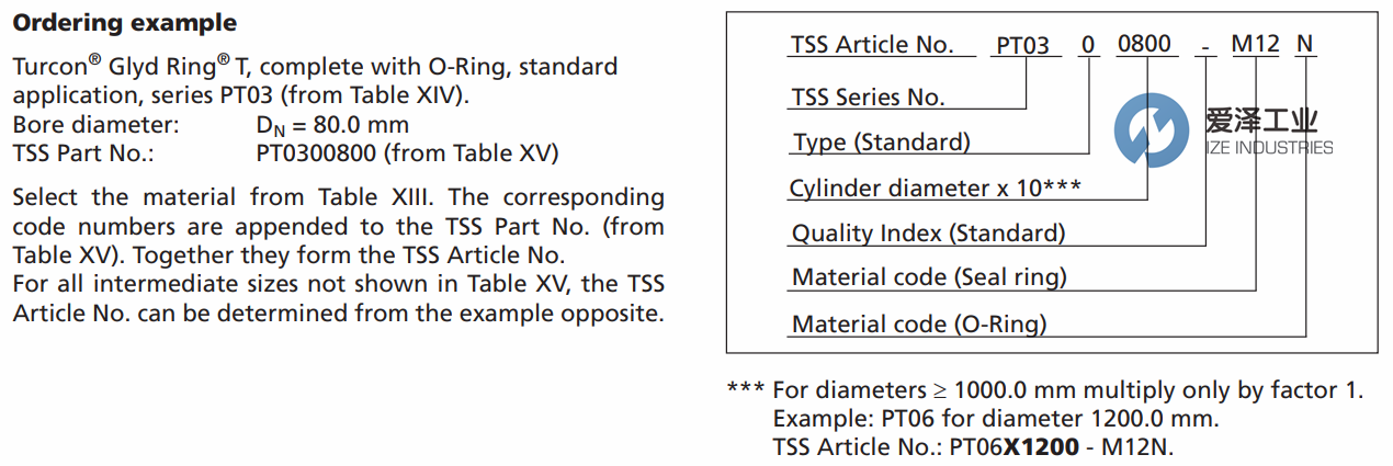 TRELLEBORG（B+S）格萊圈PT系列 愛澤工業(yè)ize-industries (1).png