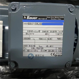 BAUER減速機BS06-31VD08LA62-ZW 愛澤工業(yè) izeindustries (4).jpg
