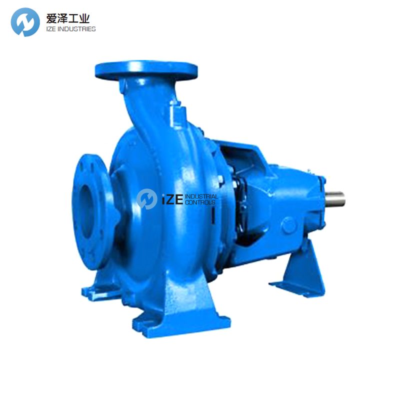 美國(guó)ROBUSCHI離心泵RNS100-250 izeindustries 愛澤工業(yè).jpg