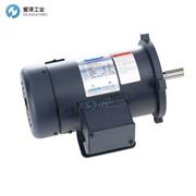 LEESON直流電機C系列C42D17FK3C 098003.00