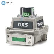 TOPWORX閥門控制器DXS-L41GNEB