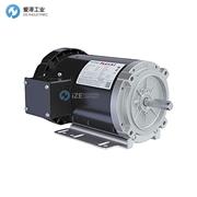 MARATHON電機(jī)FX32BK004