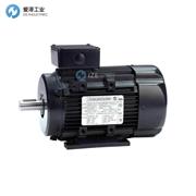 MARATHON電機(jī)090LT17FH6326
