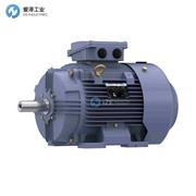 MARATHON電機(jī)TCA0112AE211GAA009