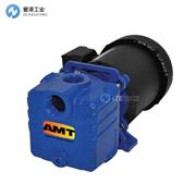 AMT離心泵285K-95